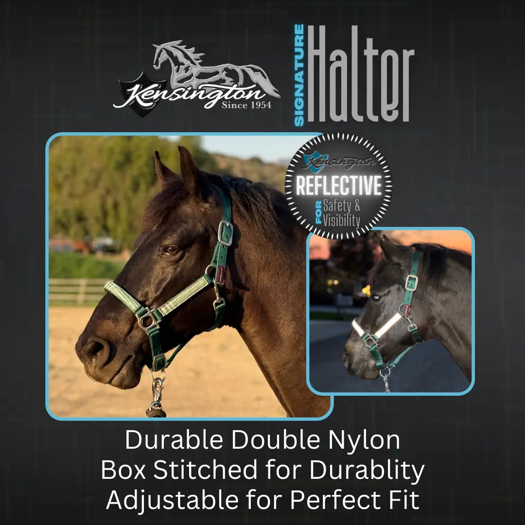 Kensington  Reflective Nylon Halter with Textliene