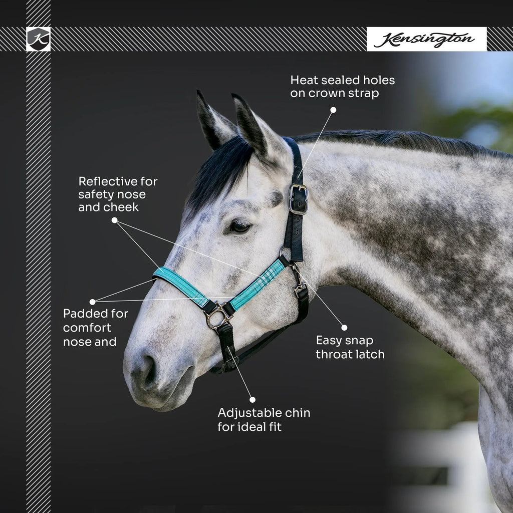 Kensington  Reflective Nylon Halter with Textliene