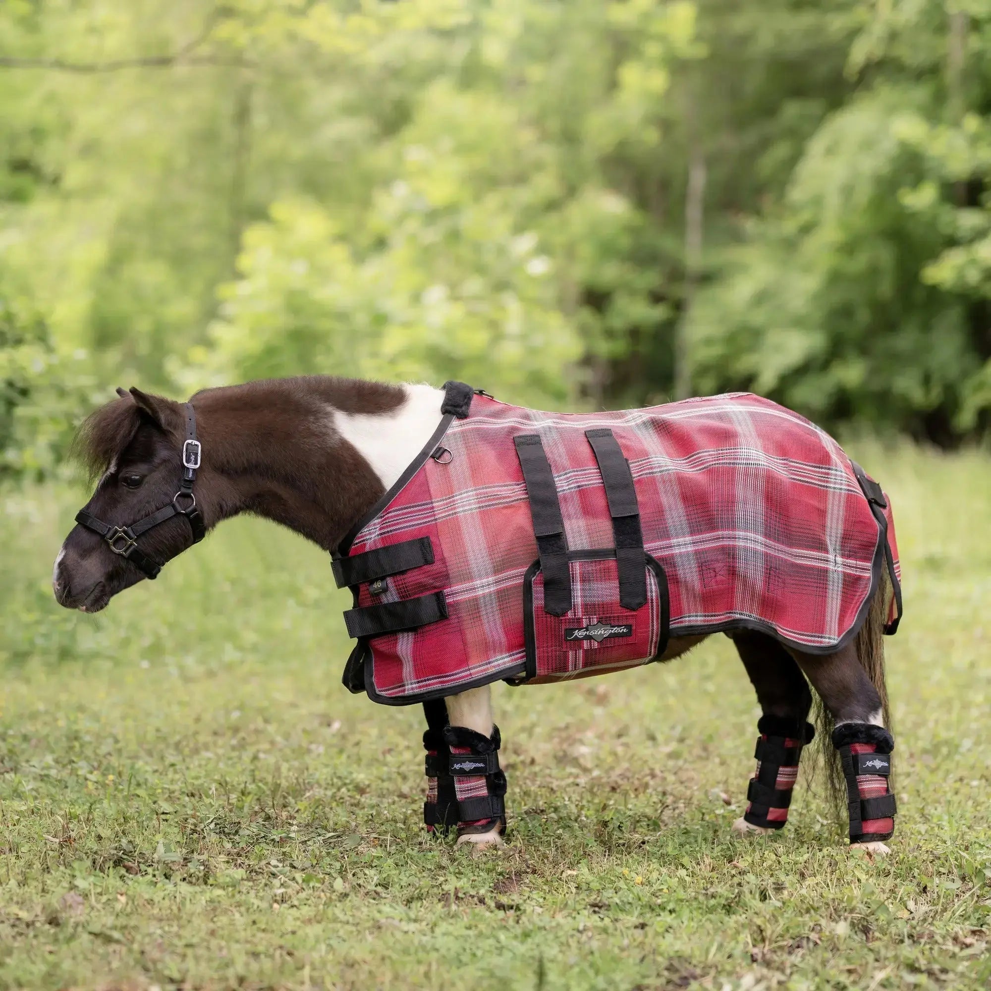 Kensington Mini Protective Fly Sheet with Belly Band - 73% UV Protection