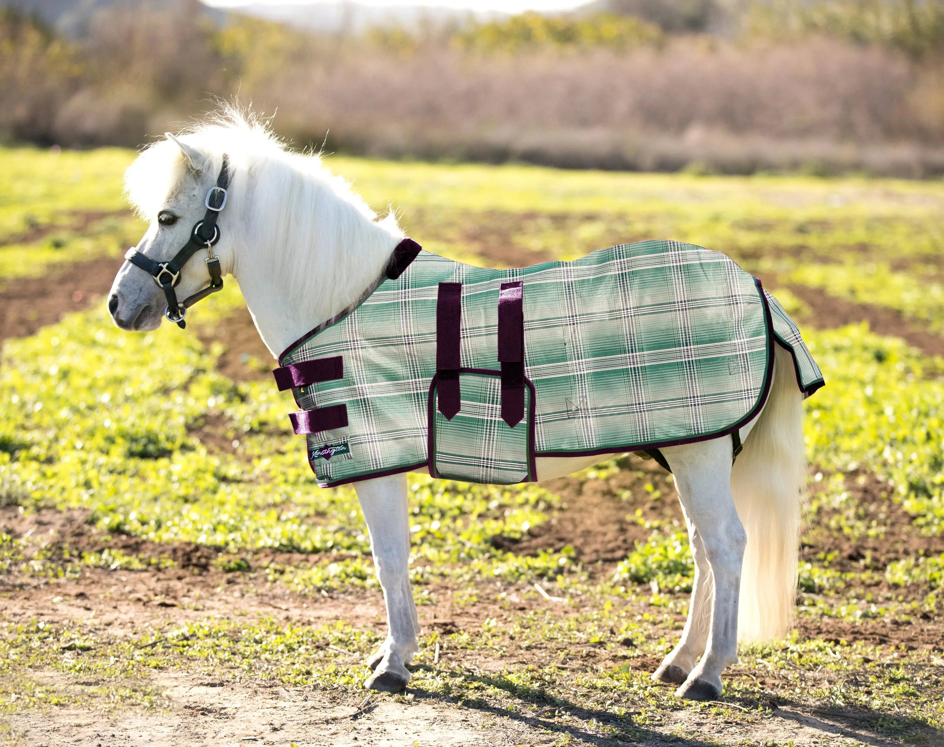 Kensington Mini Protective Fly Sheet with Belly Band - 73% UV Protection