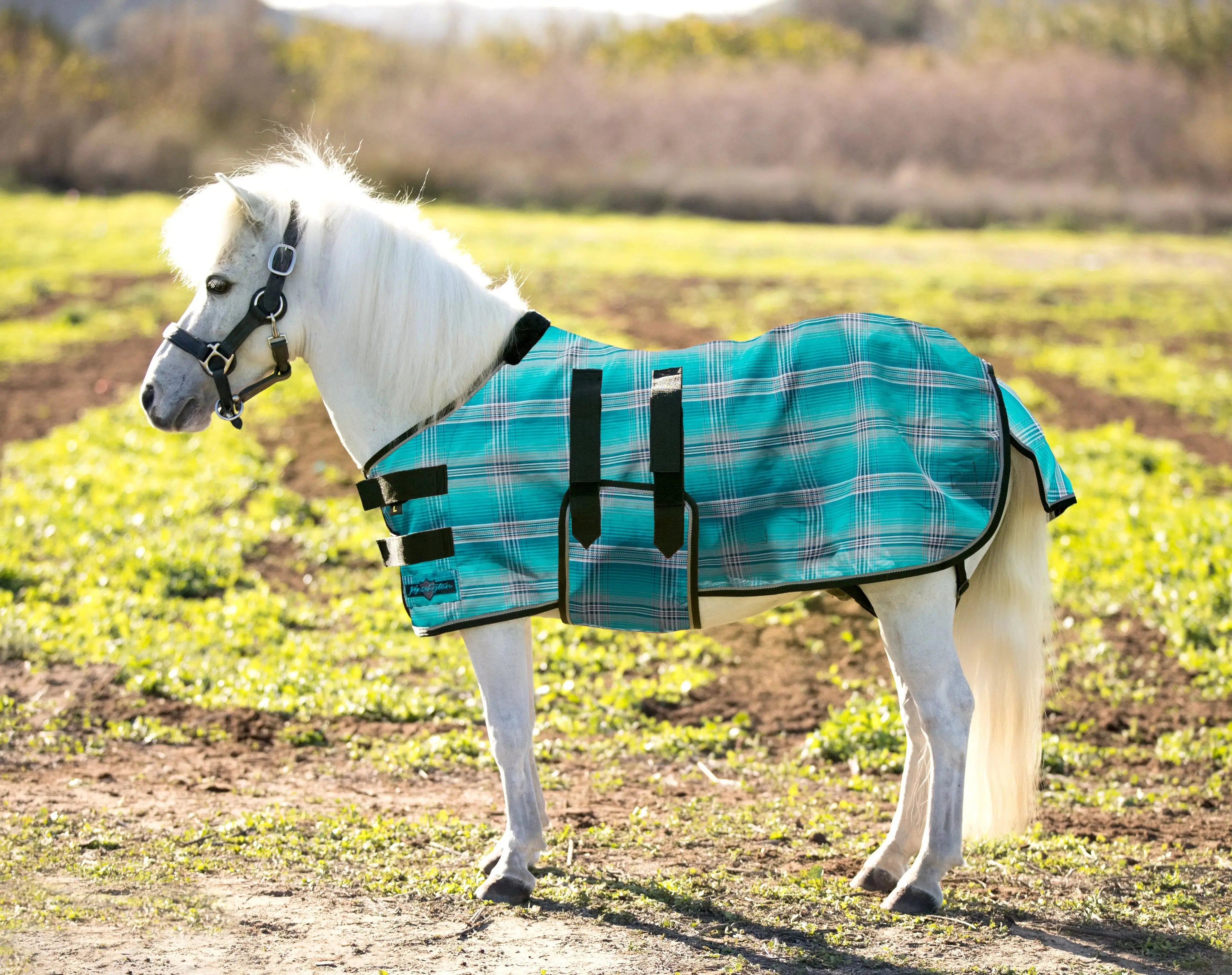 Kensington Mini Protective Fly Sheet with Belly Band - 73% UV Protection