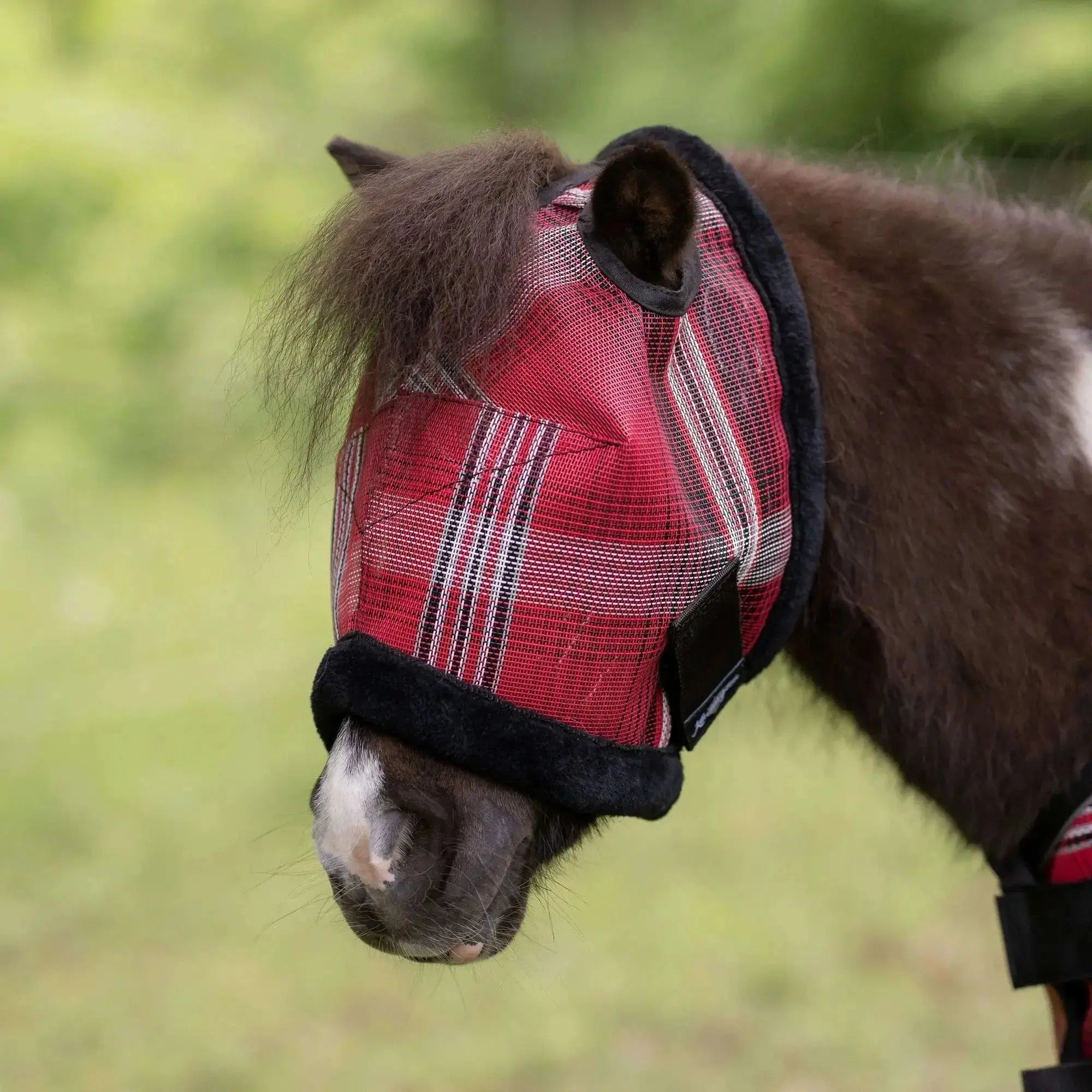 Kensington Mini Fly Mask with Fleece Trim - 73% UV Blocking