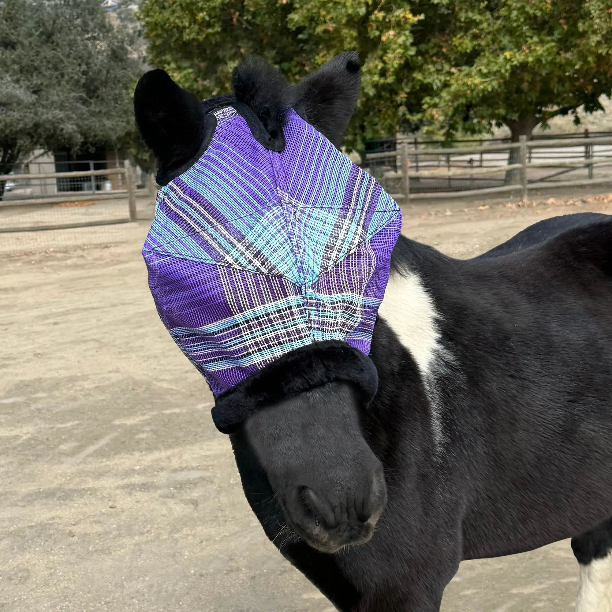 Kensington Mini Fly Mask with Fleece Trim - 73% UV Blocking