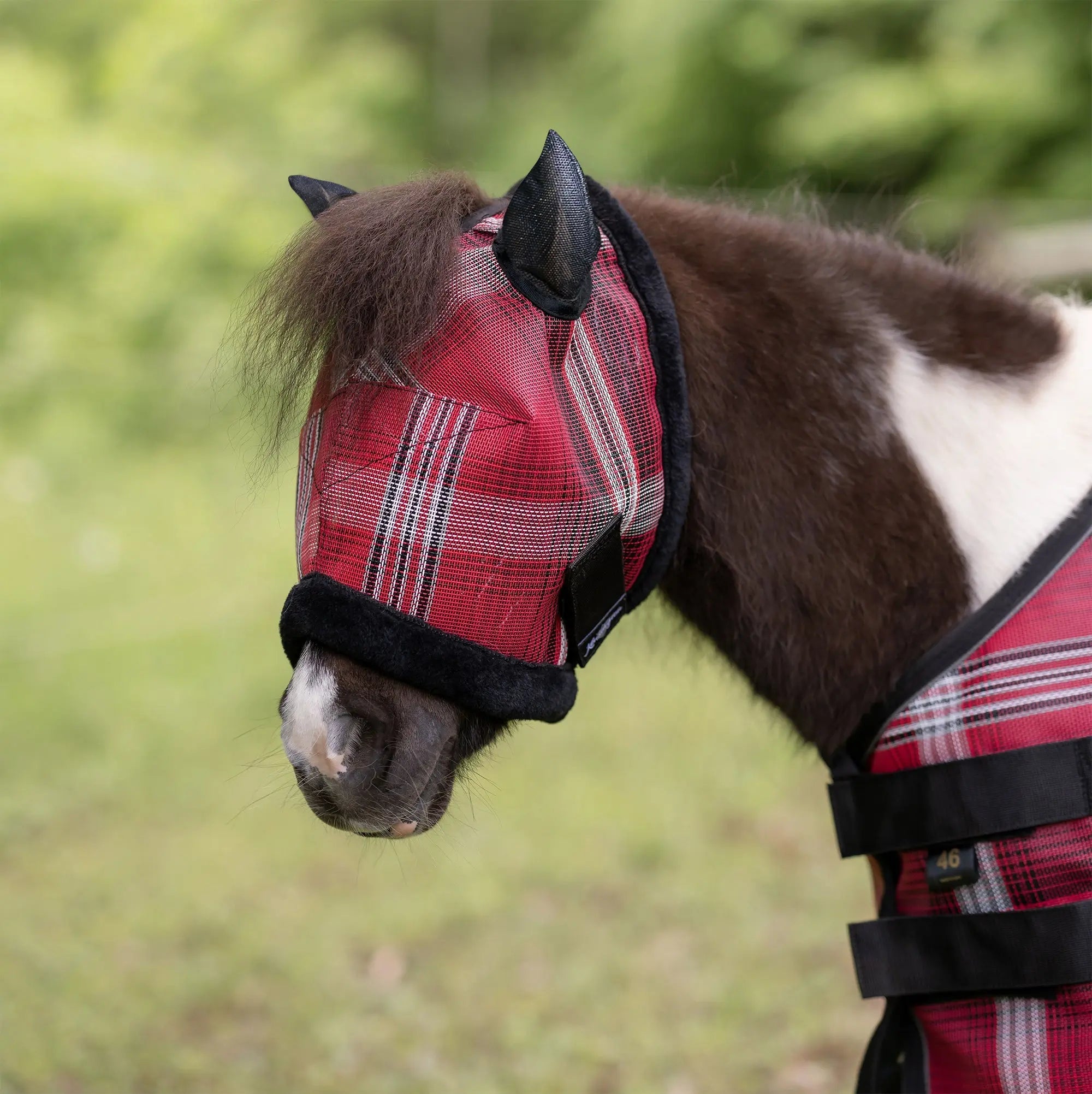 Kensington Mini Fly Mask with Fleece Trim & Ears - 73% UV Blocking