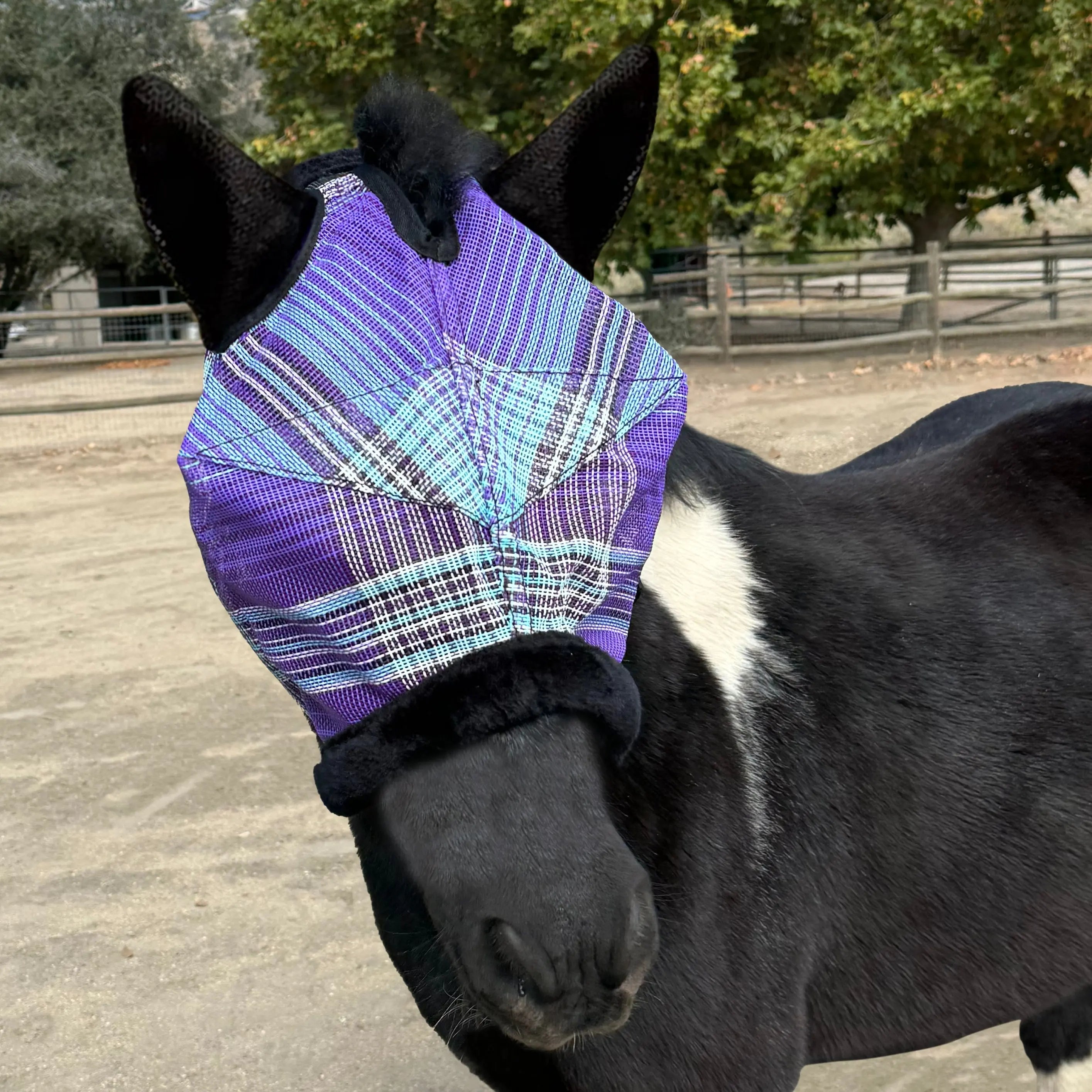 Kensington Mini Fly Mask with Fleece Trim & Ears - 73% UV Blocking