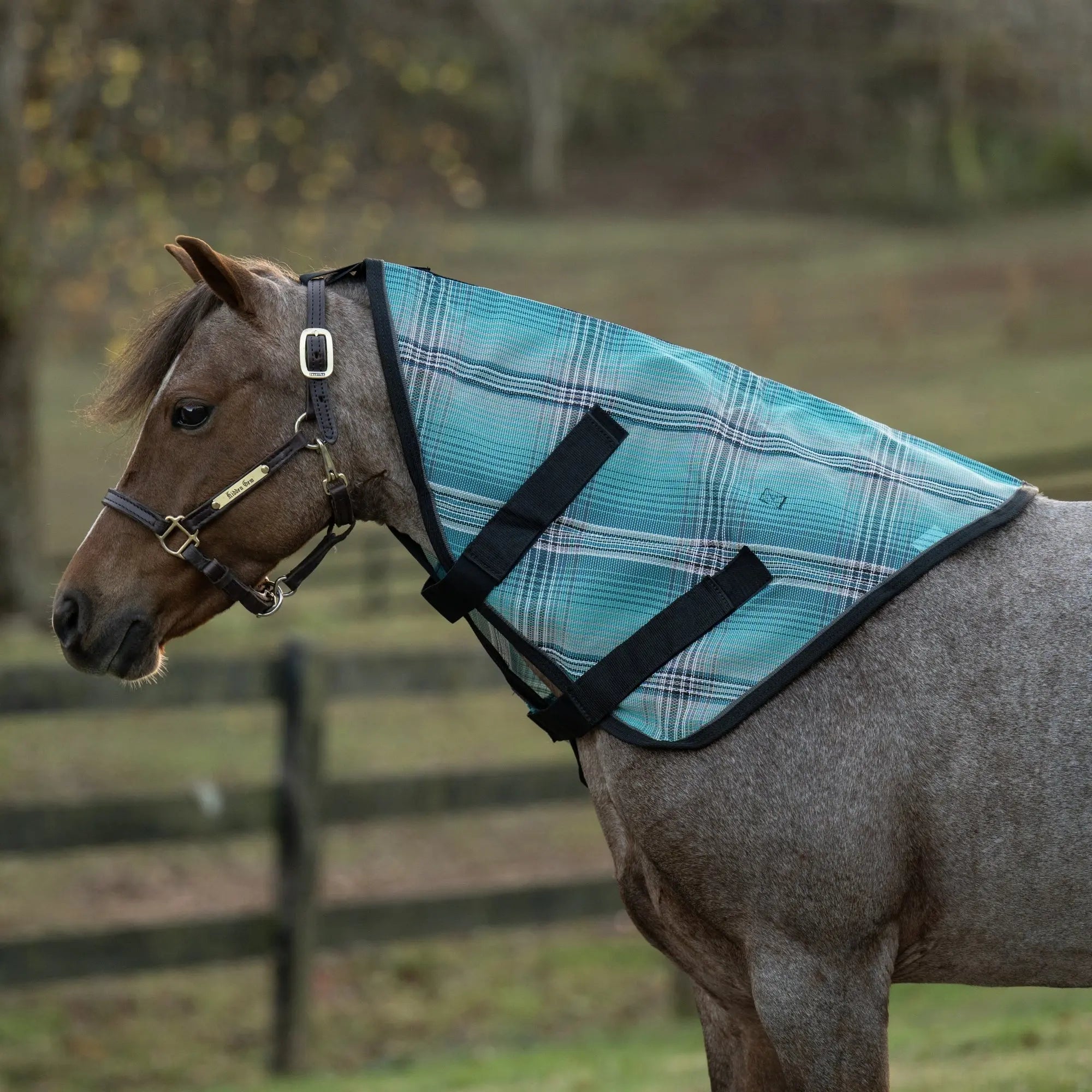 Kensington Pony Protective Neck Cover - Pairs with Fly Sheet - 73% UV Blocking