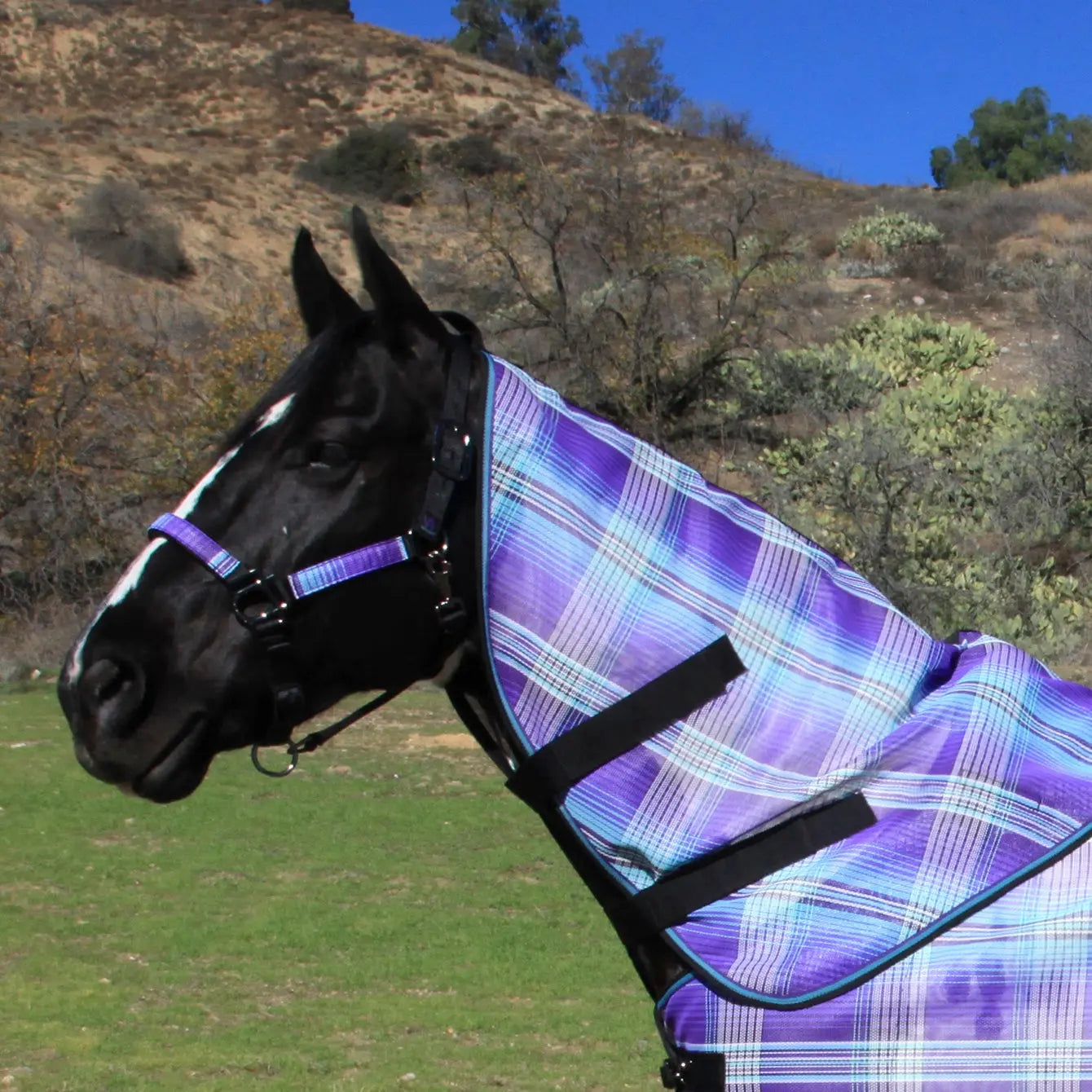 Kensington Horse Protective Neck Cover - Pairs with Fly Sheet - 73% UV Blocking