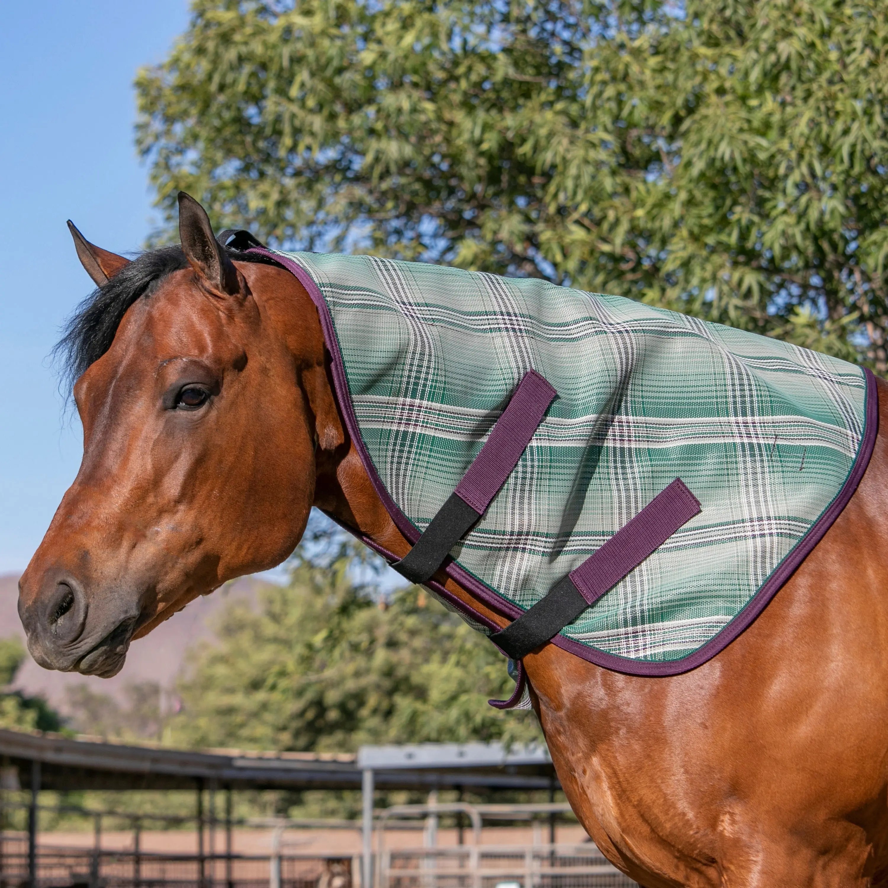 Kensington Horse Protective Neck Cover - Pairs with Fly Sheet - 73% UV Blocking