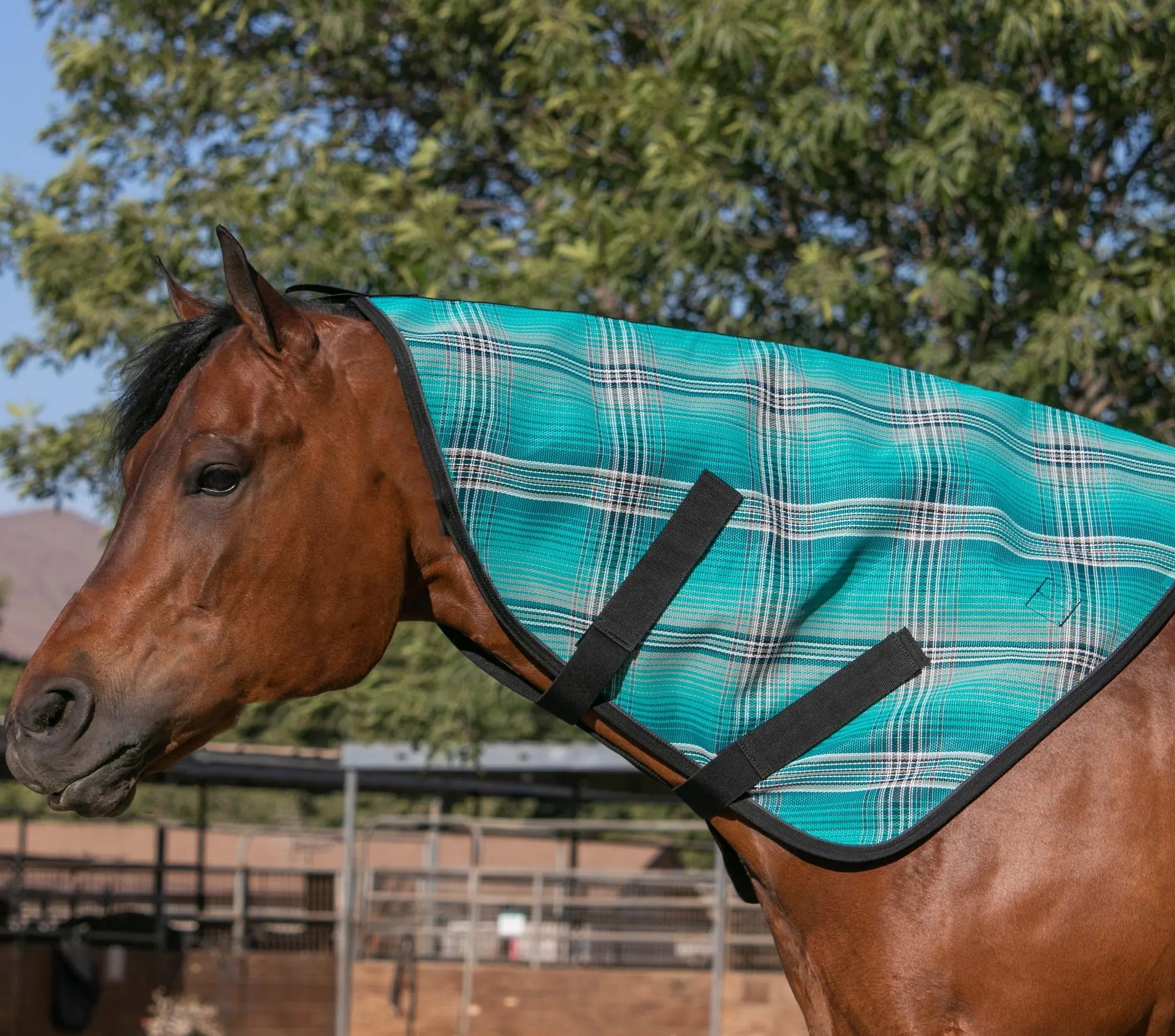 Kensington Horse Protective Neck Cover - Pairs with Fly Sheet - 73% UV Blocking