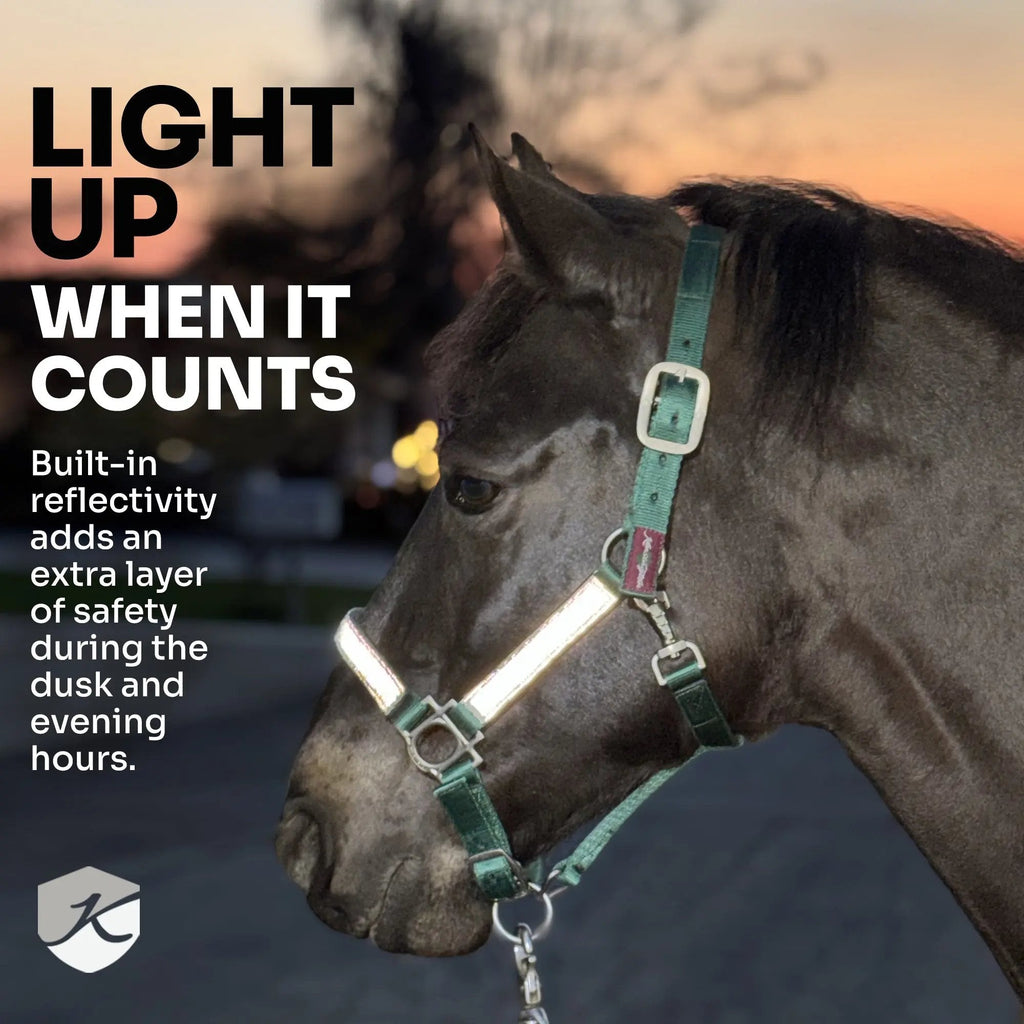 Kensington Reflective Breakaway Nylon Halter with Textliene