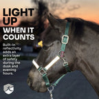 Kensington Reflective Breakaway Nylon Halter with Textliene