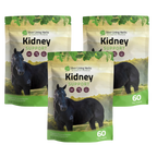 Kidney Support for Horses