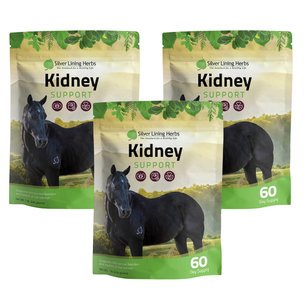 Kidney Support for Horses