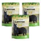 Laminae Support for Horses