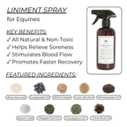 Liniment Spray for Horses - 16oz