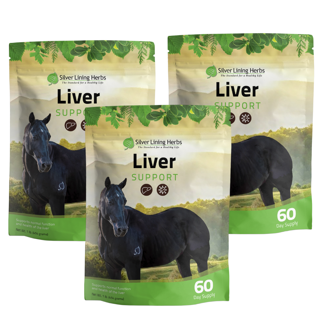 Liver Support for Horses