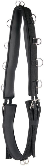 Harry's Horse Luxe Lunging Girth