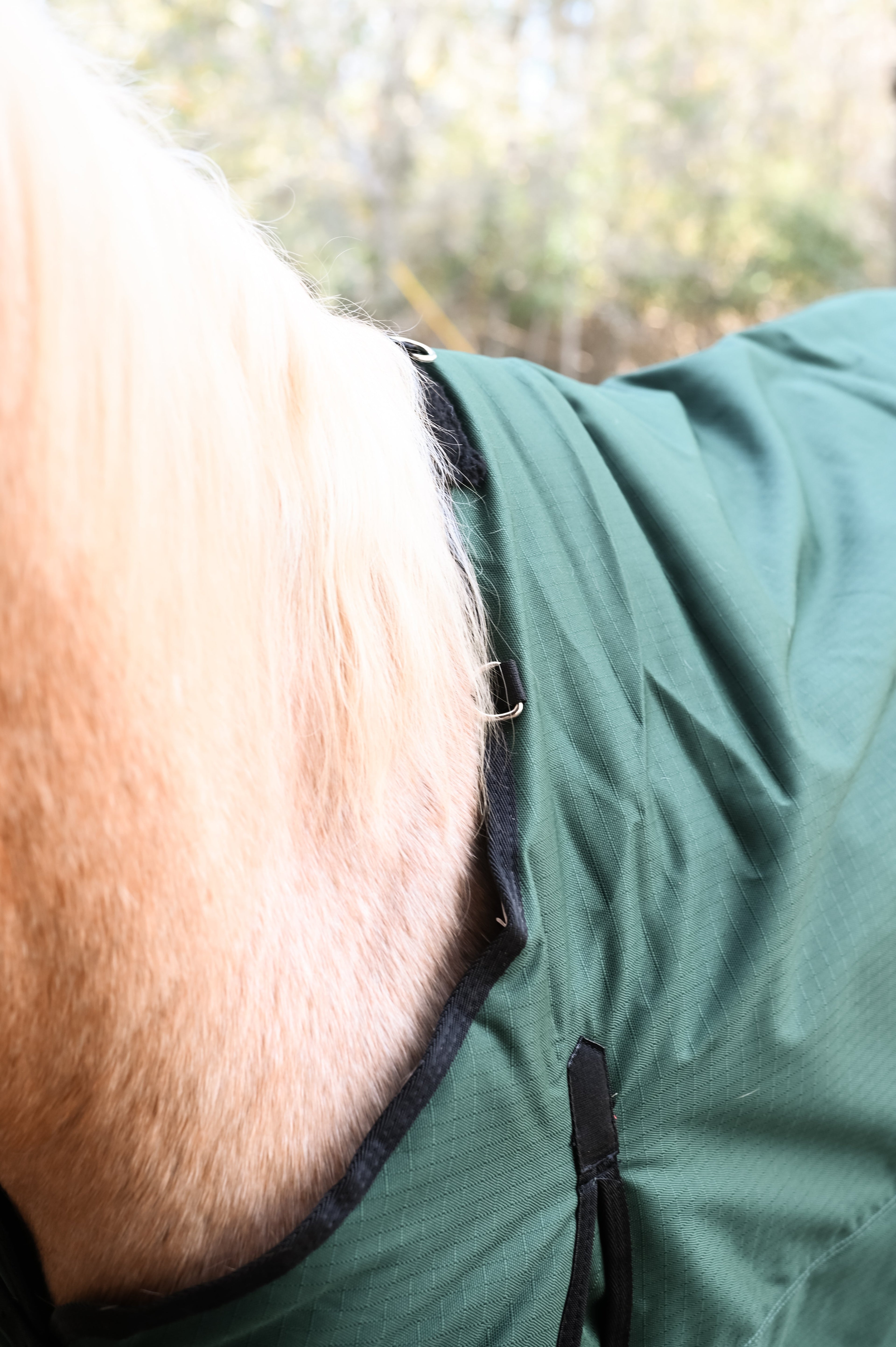 AJ Tack 400g 1200D Waterproof Turnout Horse Blanket 400g - Green