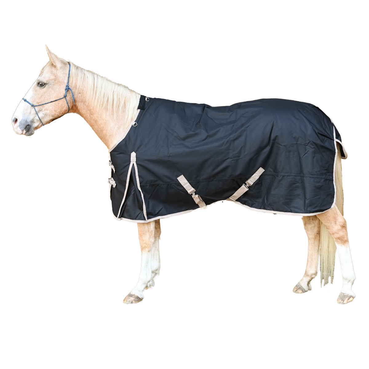 AJ Tack 400g 1200D Horse Turnout Blanket with Storage Bag - Black