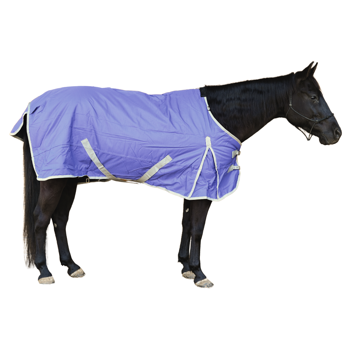AJ Tack 400g 1200D Horse Turnout Blanket with Storage Bag - Purple