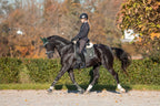 Jade Green Saddle Pad Set
