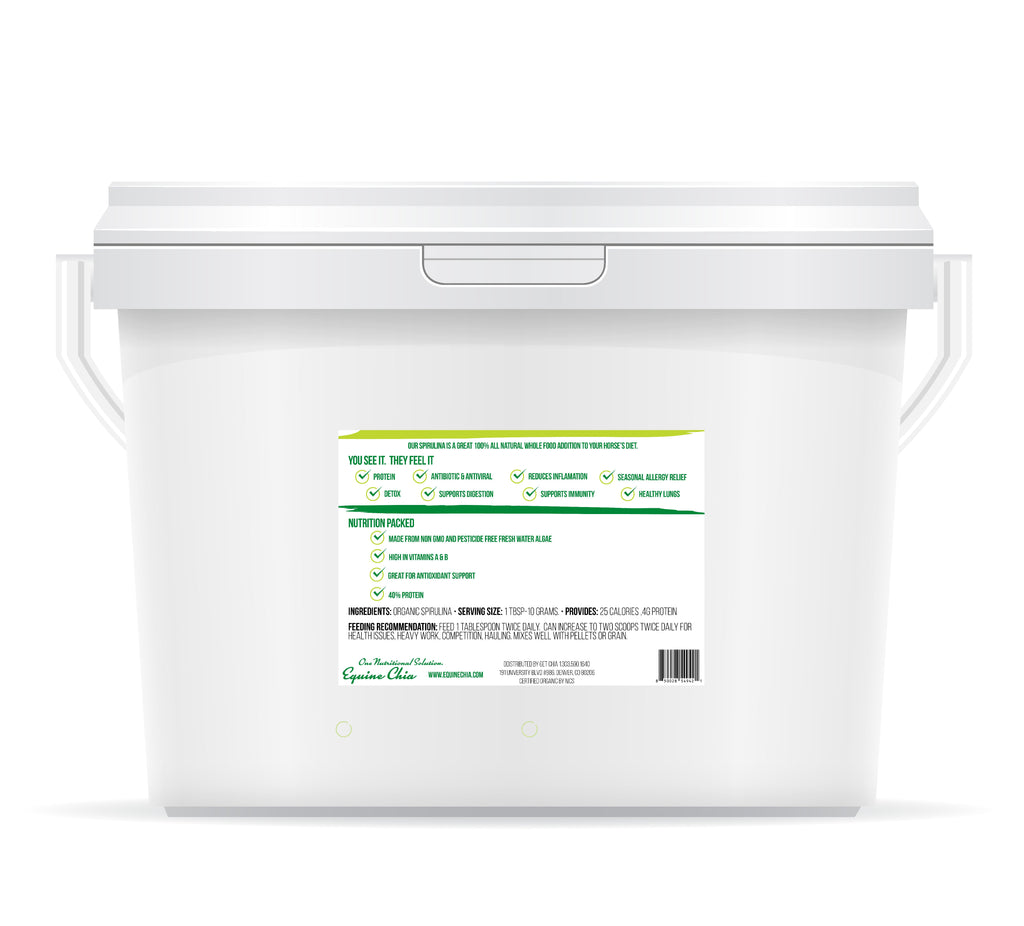 Equine Spirulina-Organic, Non GMO & Pesticide Free