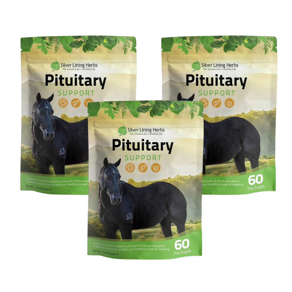 Pituitary Support for Horses