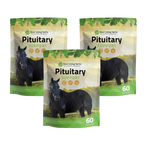 Pituitary Support for Horses