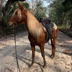 3-in-1 Pony Perfector Leave-in Remedy