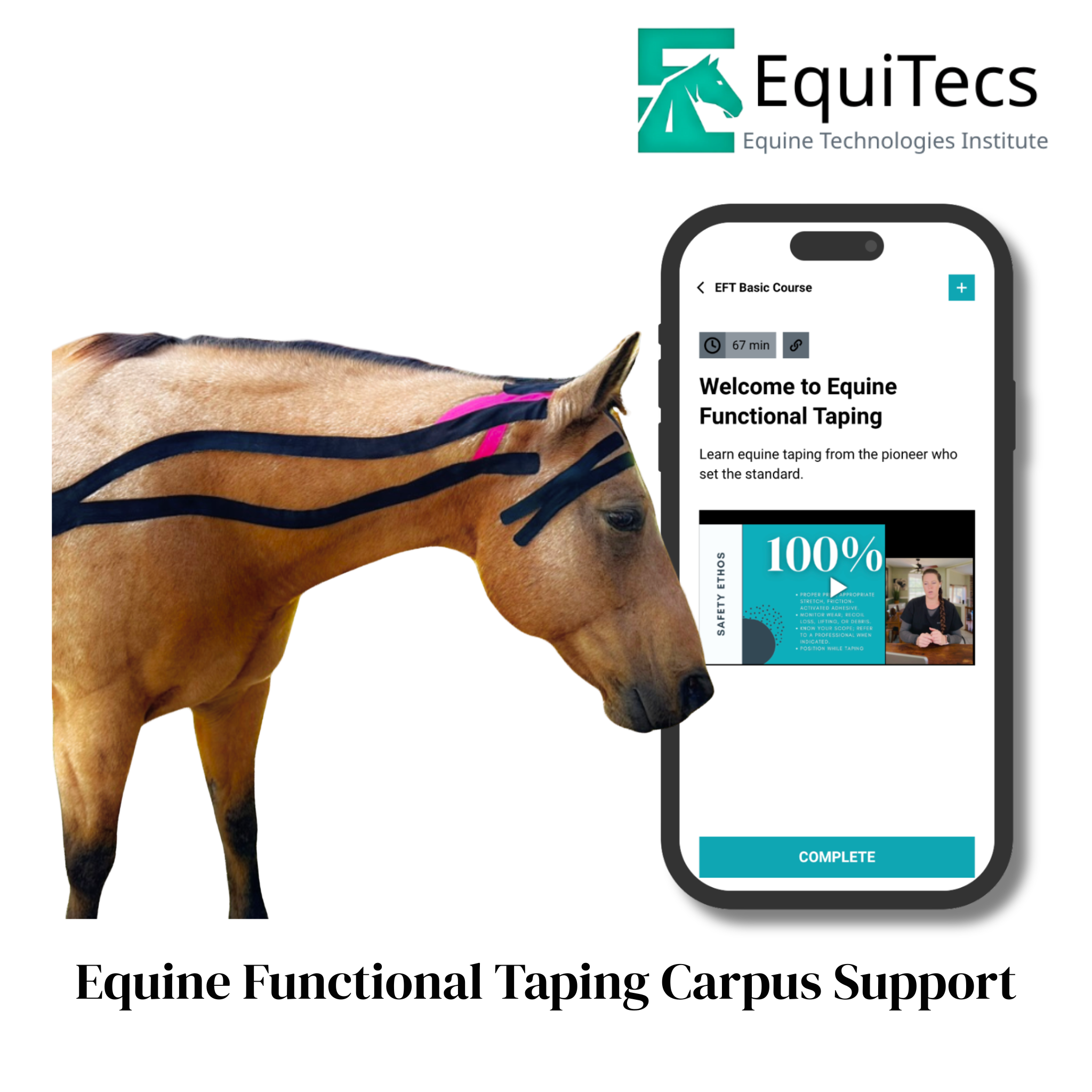 EquiTecs EFT Application Library