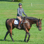 Inside Leg Outside Rein Baselayer: Charcoal