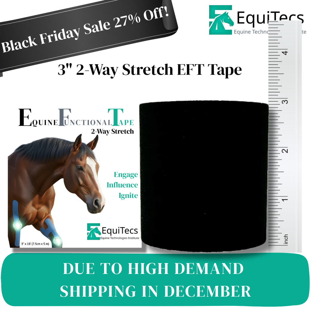 EFT 2-Way 3" Single Roll Black