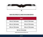 ExionPro Fancy Stitched Snap Over Lay Girth - Matching Elastic