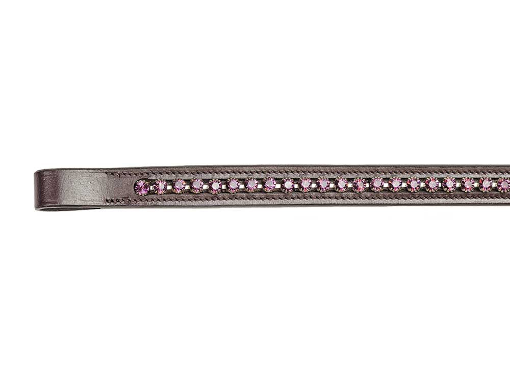 Spring Rose Browband