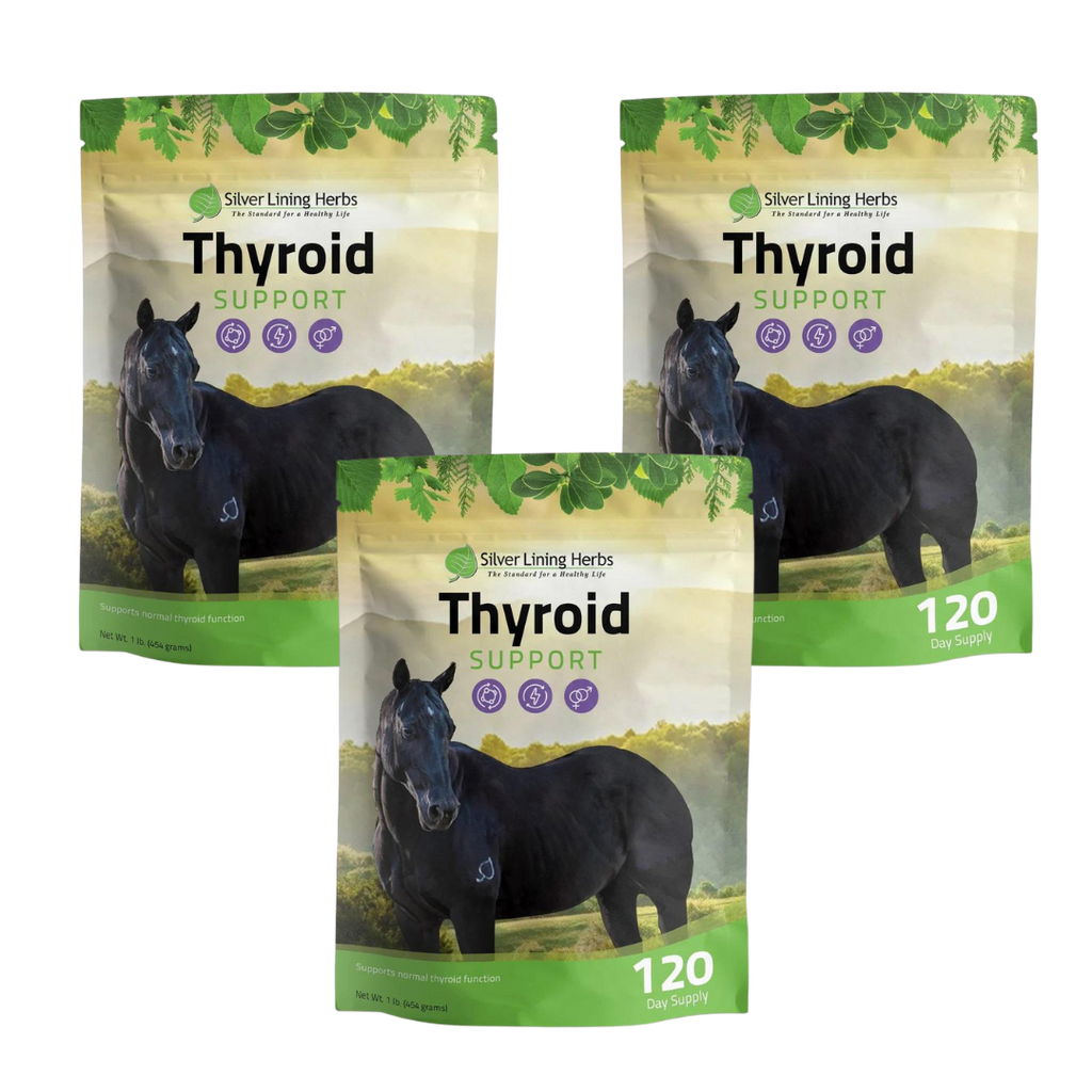 Thyroid Support for Horses