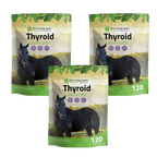 Thyroid Support for Horses