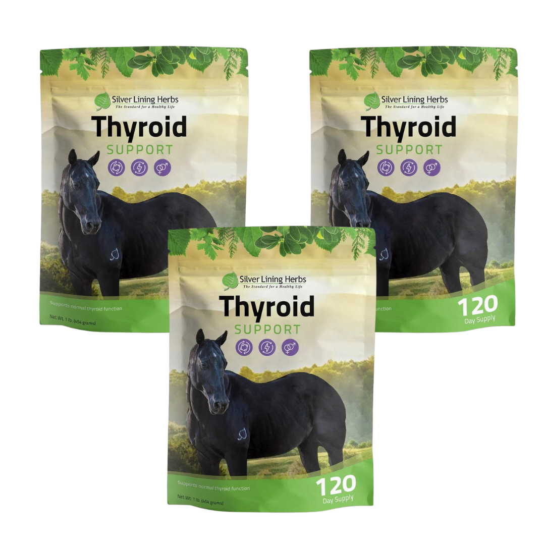 Thyroid Support for Horses