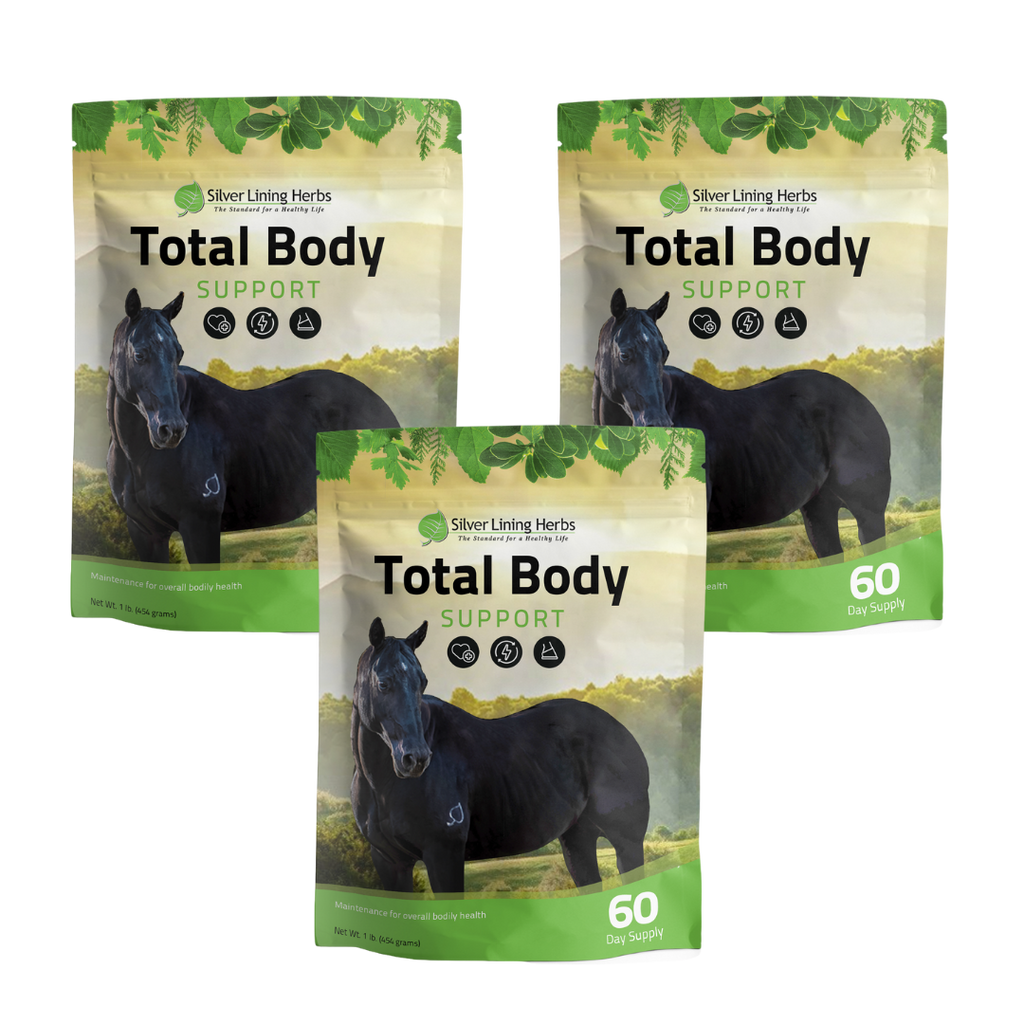 Total Body Support for Horses