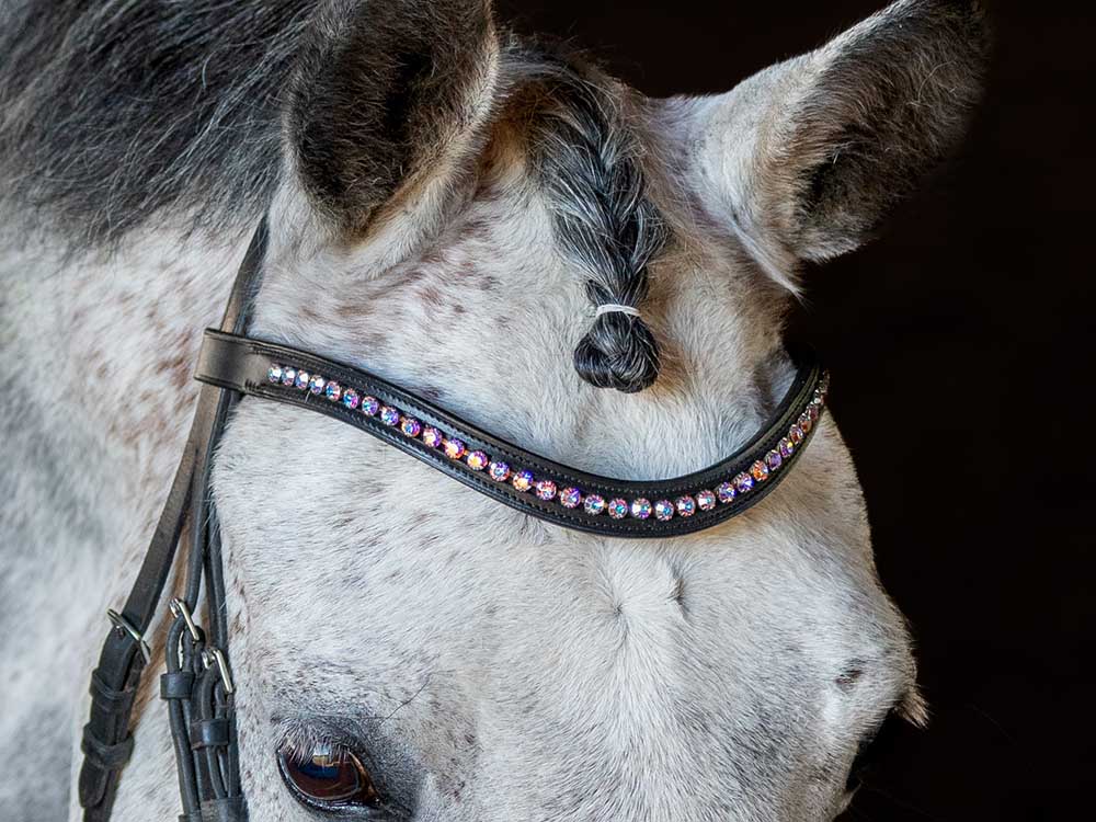 Winter Flower Browband