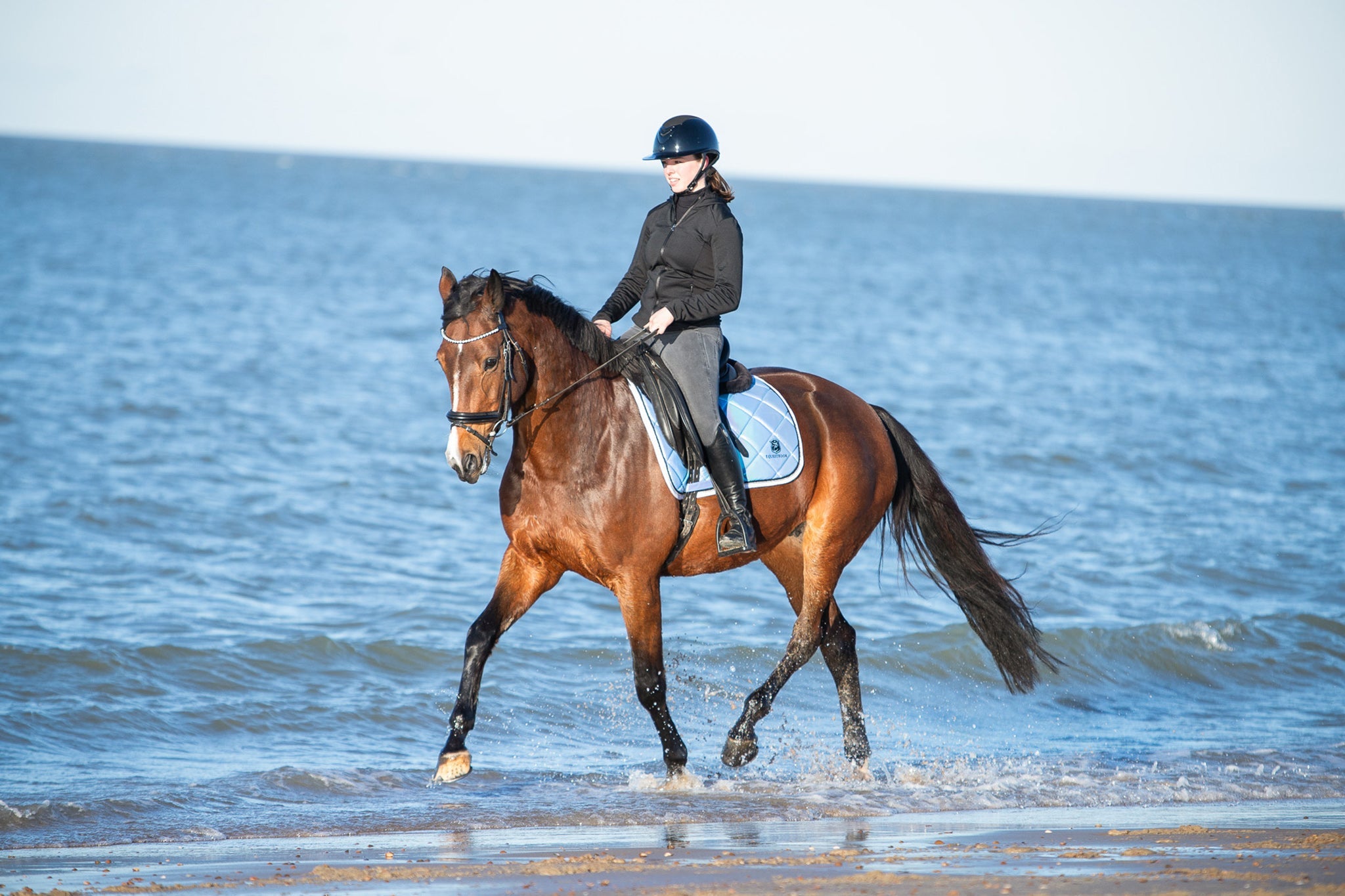 Azurine Saddle Pad Set