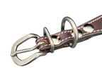 Epic Padded Leather Dog Collar with Beaded Design