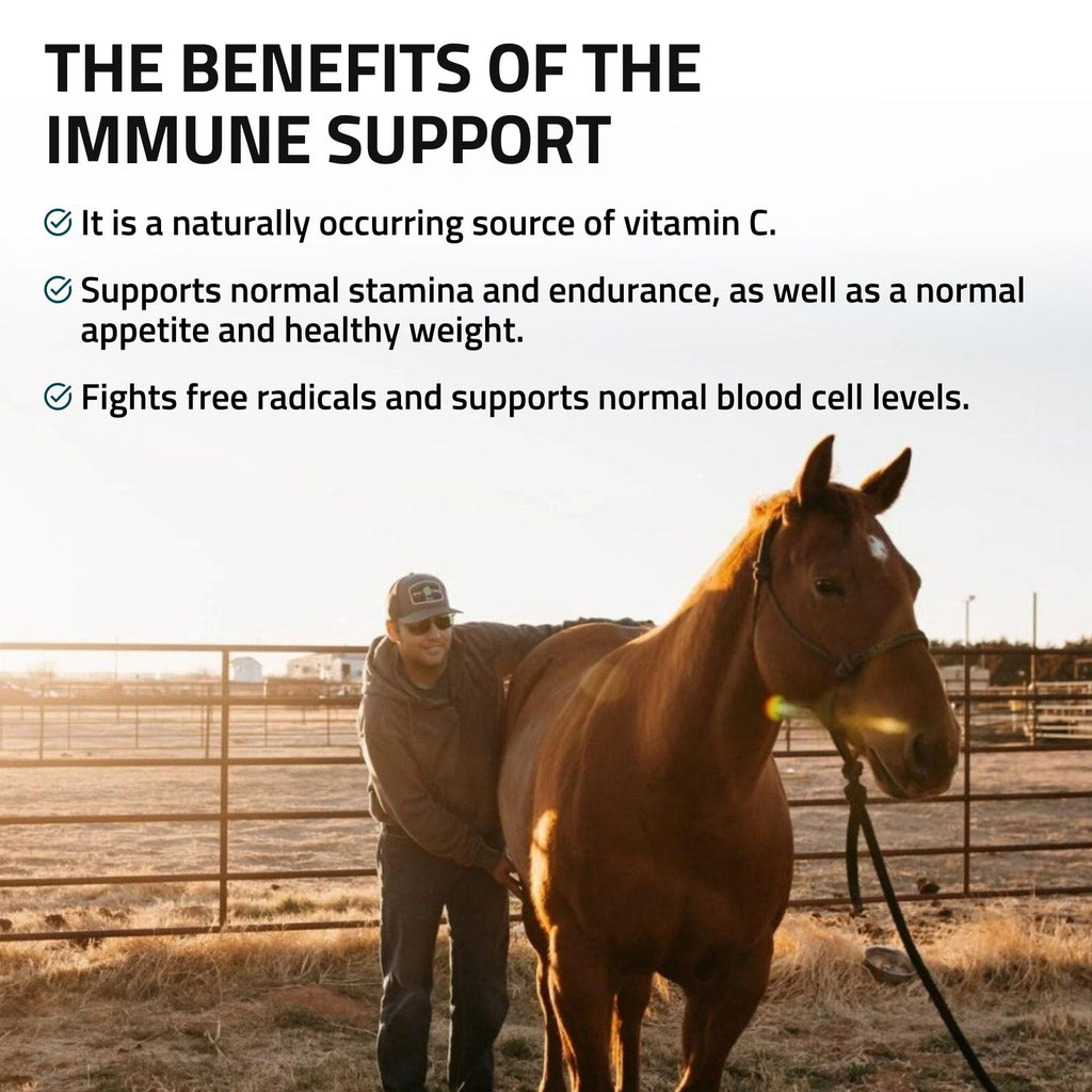 Immune Support for Horses