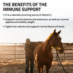 Immune Support for Horses