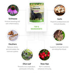 Immune Support for Horses