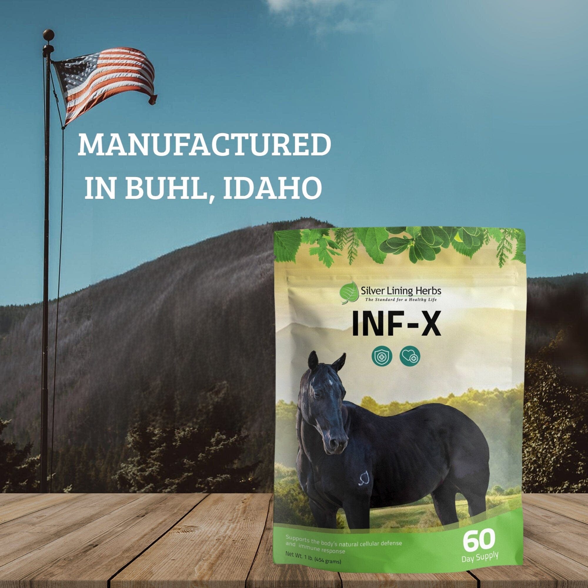 INF-X for Horses