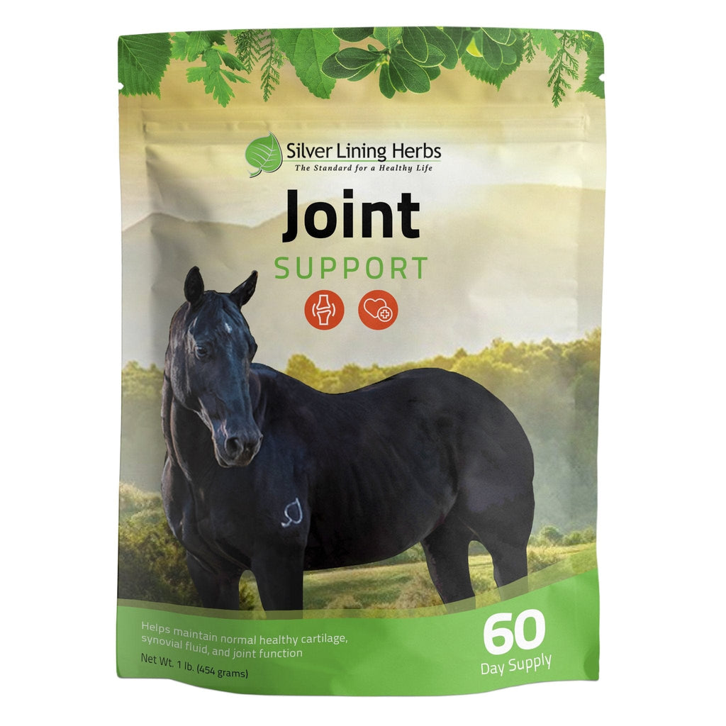 Joint Support for Horses