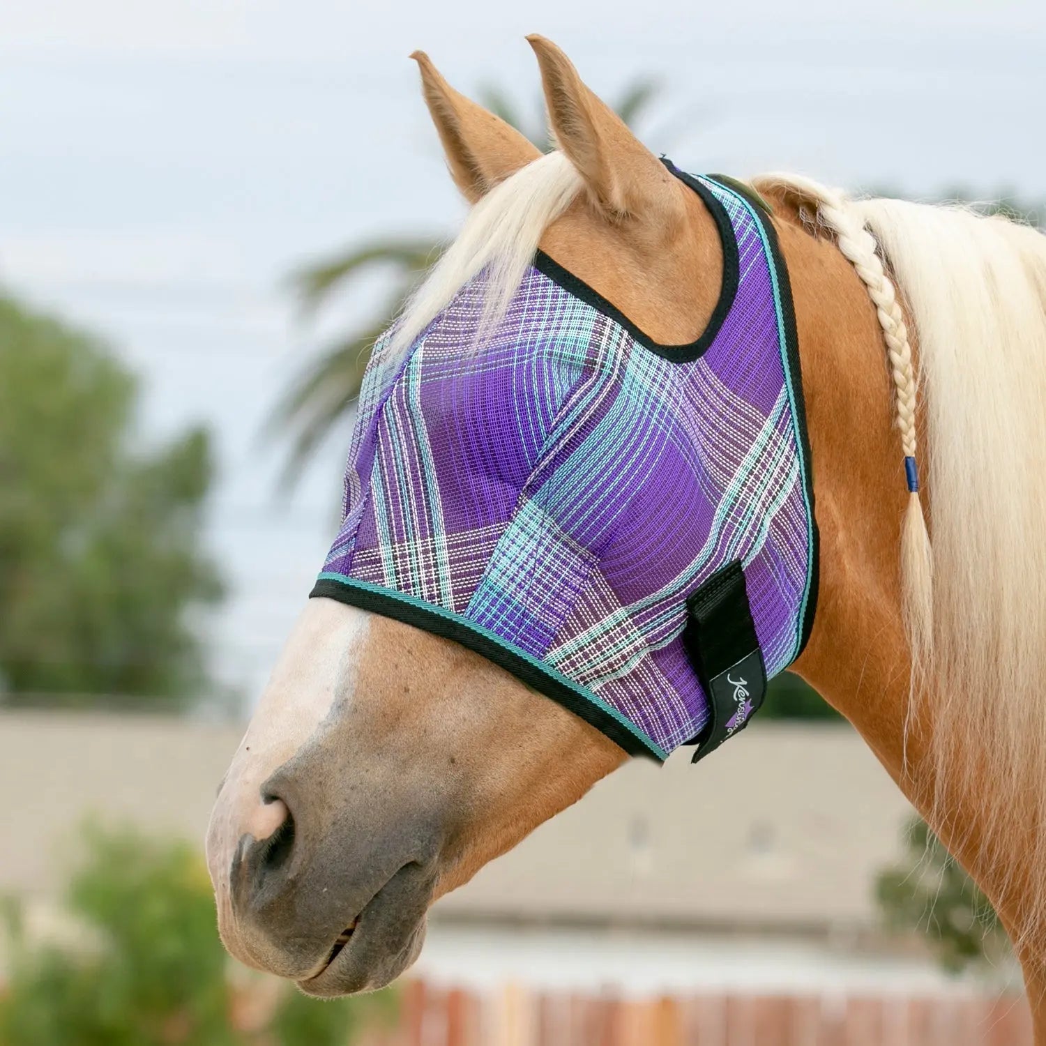 Kensington Fly Mask with 73% UV Protection - Open Top Design