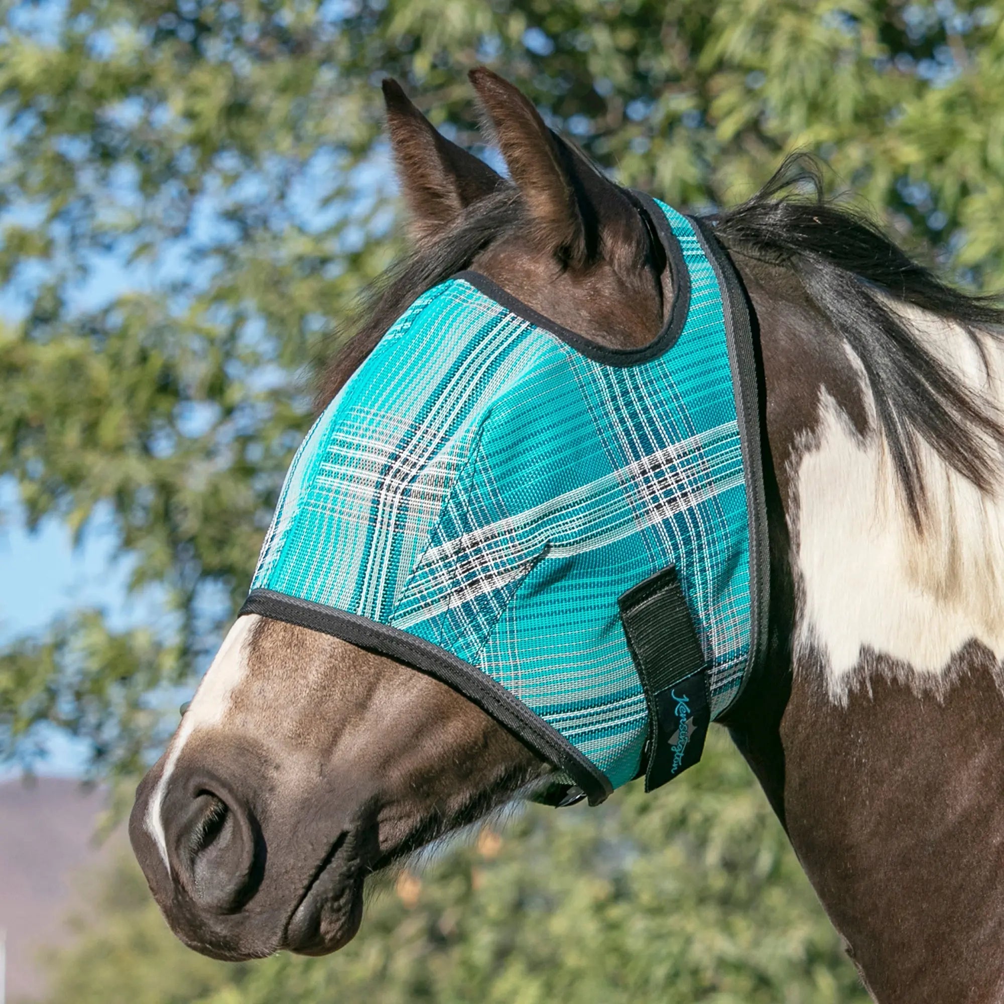 Kensington Fly Mask with 73% UV Protection - Open Top Design