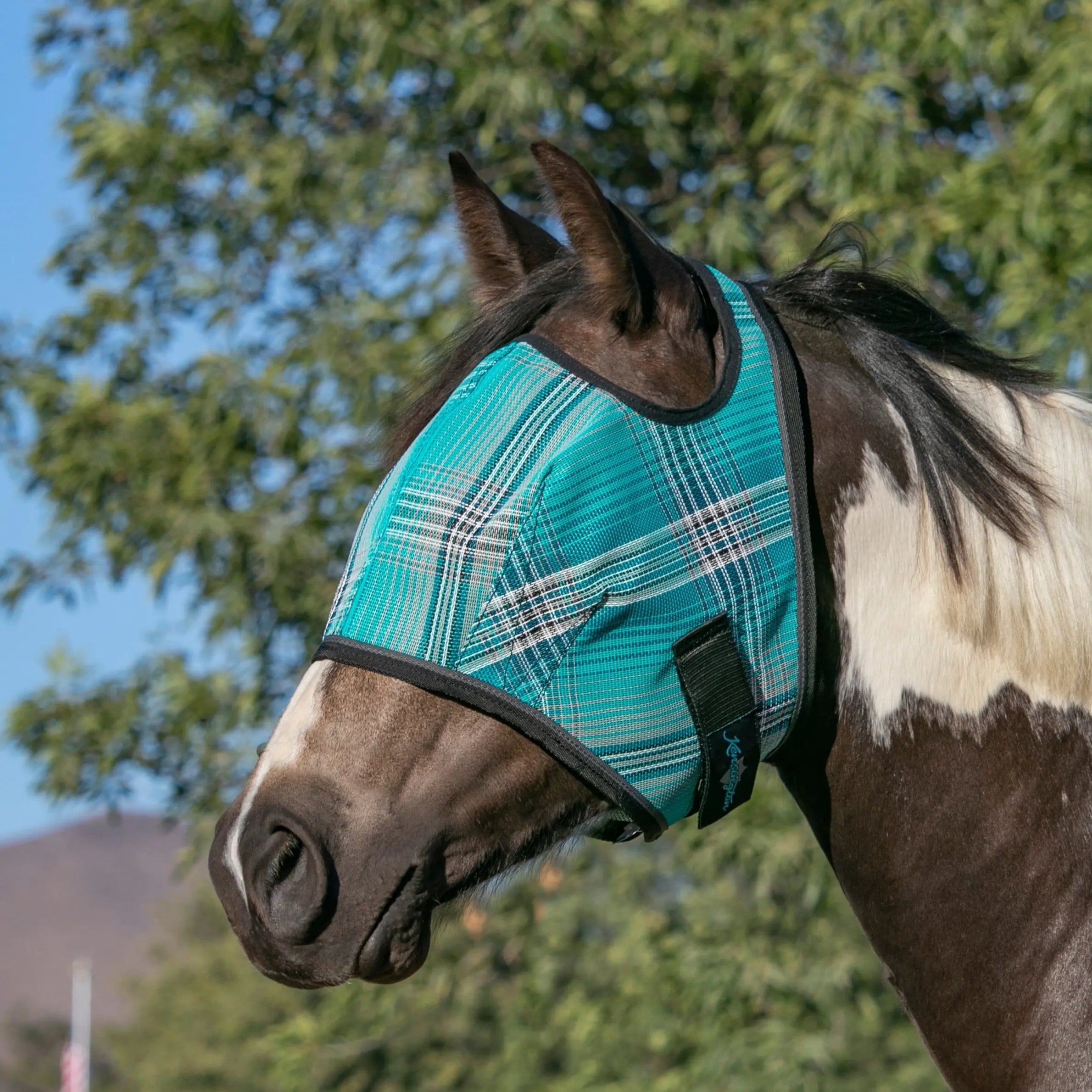 Kensington Fly Mask with 73% UV Protection - Open Top Design