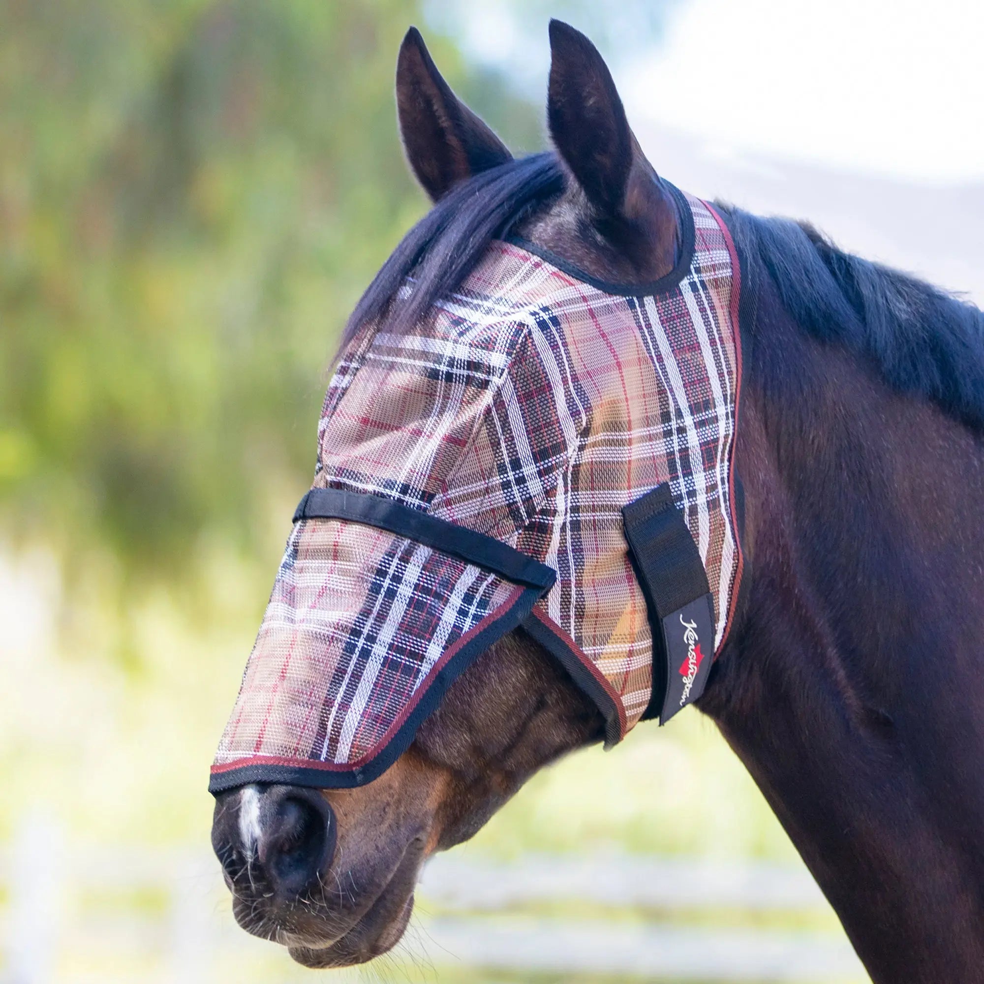 Kensington Fly Mask with Nose & 73% UV Protection - Open Top Design